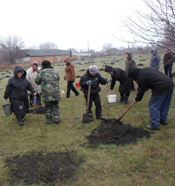 lyubashivka20160418_1.jpg