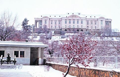 Image Image