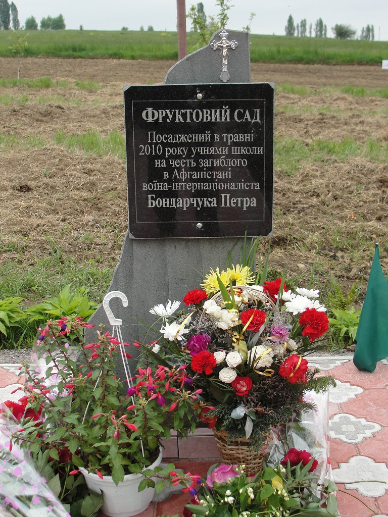 fruktoviysad1.jpg fruktoviysad1.jpg